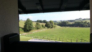 Blick aus einem Fahrzeug auf ein grünes Feld mit Bäumen und einem Zaun.