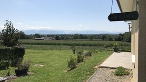 Un vignoble avec une pancarte indiquant « BIENVENUE », un chemin de gravier et un bâtiment doté d’un luminaire.