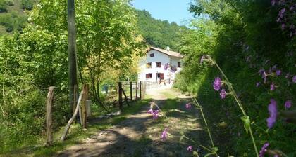 PUTTIKO - BANCA - Gîte