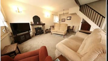 Smart TV, fireplace, DVD player, books
