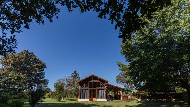 A wooden cabin with a large window, surrounded by trees and a grassy yard. - Gite de Pernaout - BELIS (BELIS)