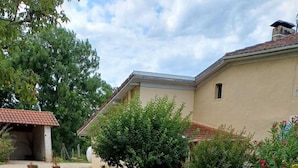 A residential area with a paved driveway, a small tree, and a building with a tiled roof.