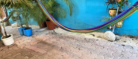 A hammock tied between potted plants, a blue wall, and a window with bars.