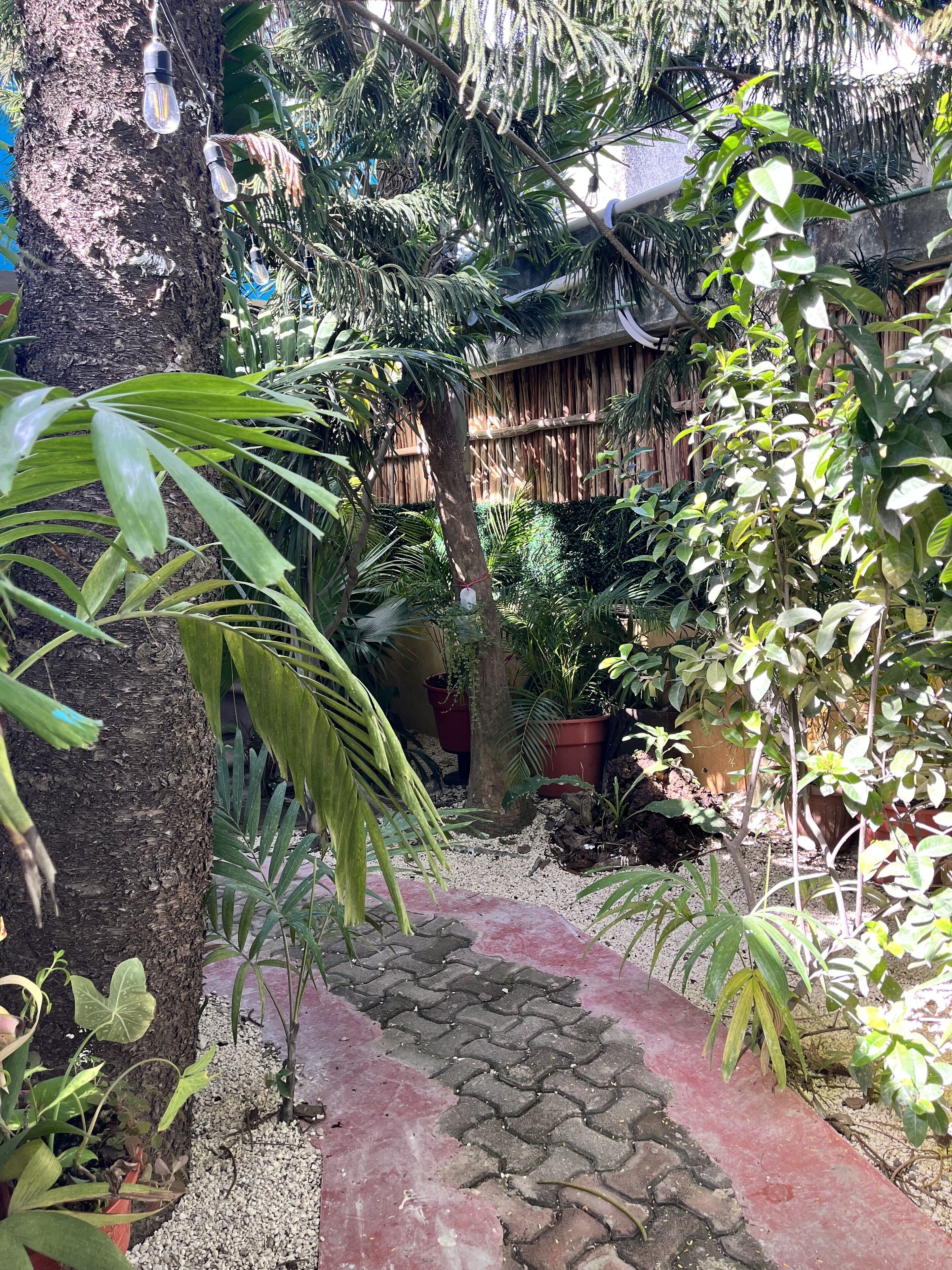 Foto - Tumben Kuxtal Tulum