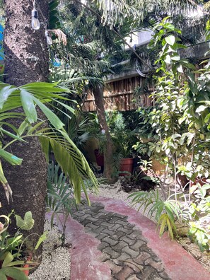 Taman