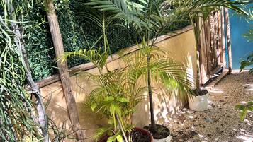 Un jardín con plantas en macetas, una valla de madera y un muro.