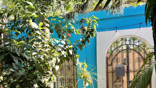 Een binnentuin met een blauwe muur, een houten poort en plantenbakken.