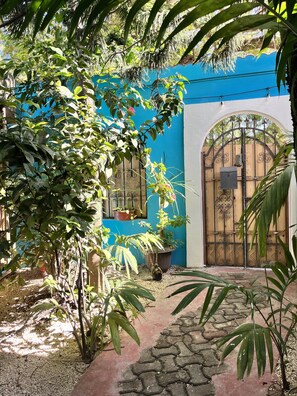 A courtyard with a blue wall, a wooden gate, and potted plants. - Tumben Kuxtal Tulum (Tulum)