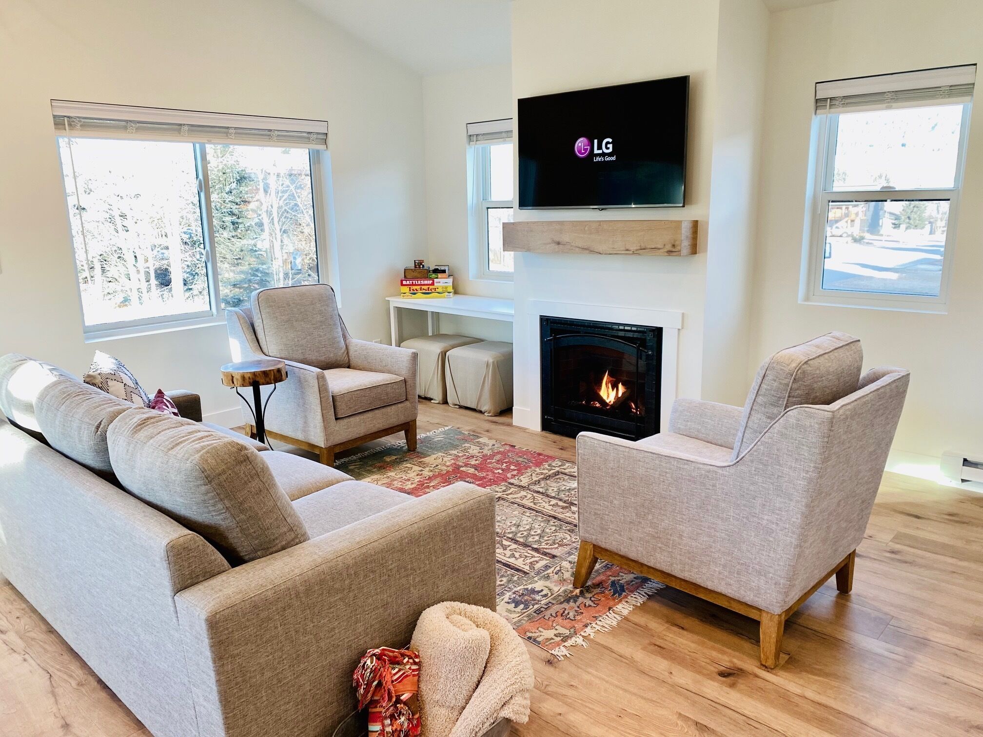 Smart TV, fireplace, books