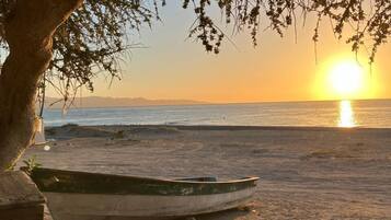 Uma praia com um barco na areia e uma árvore em primeiro plano.