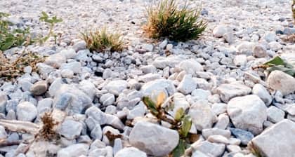 Wunderschöne, Moderne Ferienwohnung in Österreich mit dem Charme von 1750