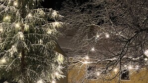A snow-covered tree with lights, a building with a window, and a snow-covered ground. - Wunderschöne, Moderne Ferienwohnung in Österreich mit dem Charme von 1750 (Feistritz im Rosental)