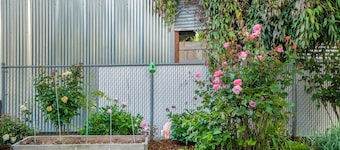 Stay Cool - AC! Perfect for Exploring Tacoma. Pet Friendly. Free Parking.