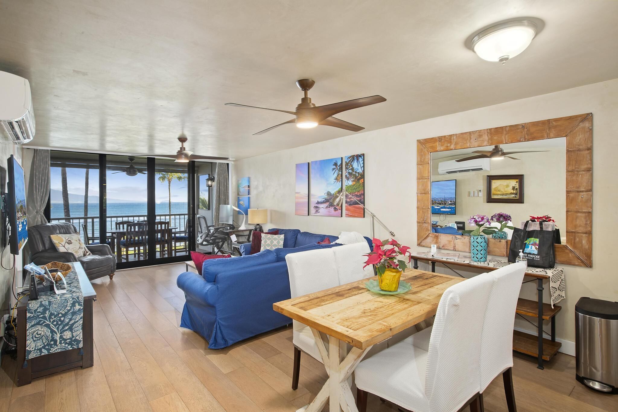 Smart TV, DVD player, books, computer monitors