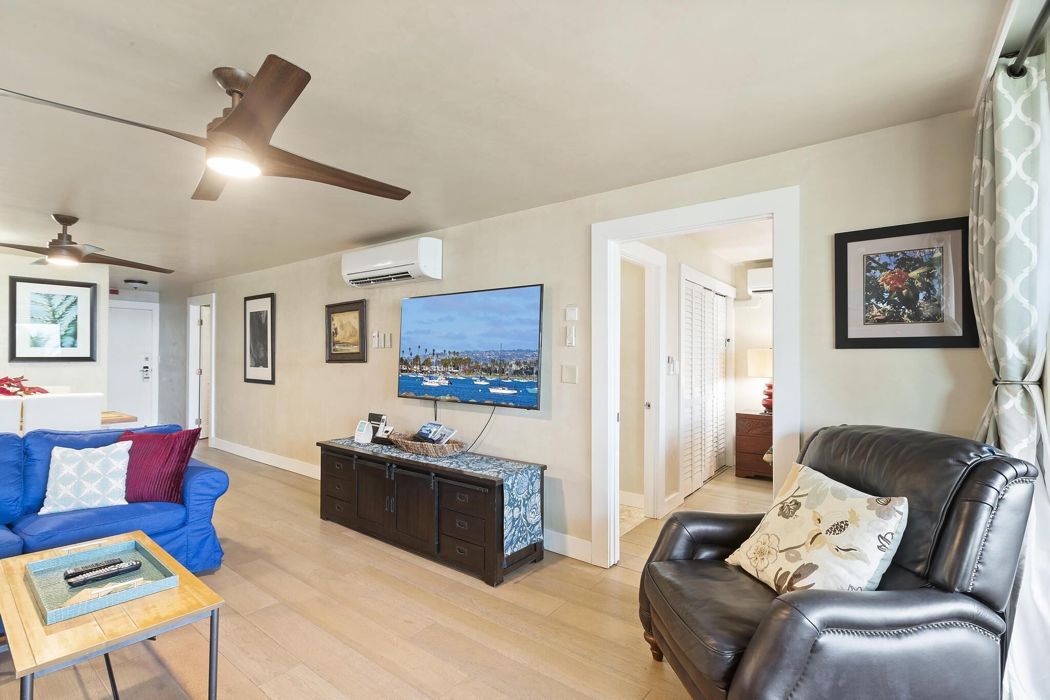 Smart TV, DVD player, books, computer monitors