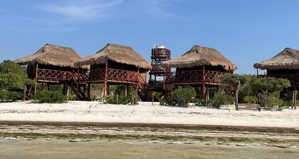 Casa Blanca where you can reconnect with nature & enjoy tranquility by the sea.