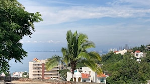 Une vue sur la côte, avec des bâtiments, un palmier et un ciel dégagé.