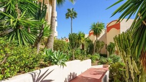 Un sendero bordeado por cactus y palmeras que conduce a un edificio con techo de tejas rojas y paredes color beige.