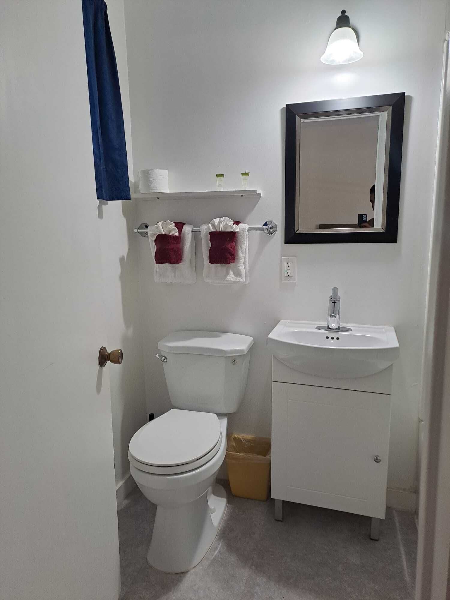 A small, clean bathroom with a toilet, sink, and mirror.