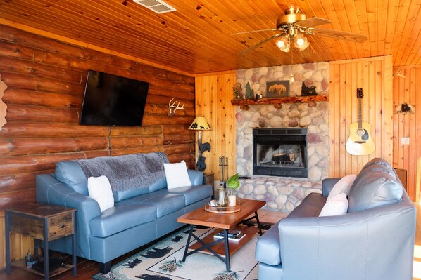 Smart TV, fireplace, DVD player, books