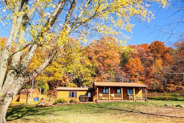 A cabin with a porch, surrounded by autumn foliage. - Charming cabin getaway in the woods, private trails, only 20 mins from WI Dells! (Lyndon Station)