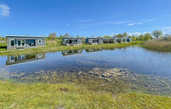 Une rangée de maisons modernes à un seul étage, dotées de grandes fenêtres et bordée d’une pelouse.