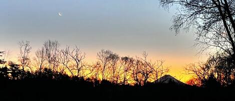 Un atardecer sobre un parque con árboles desprovistos de hojas y una montaña distante.