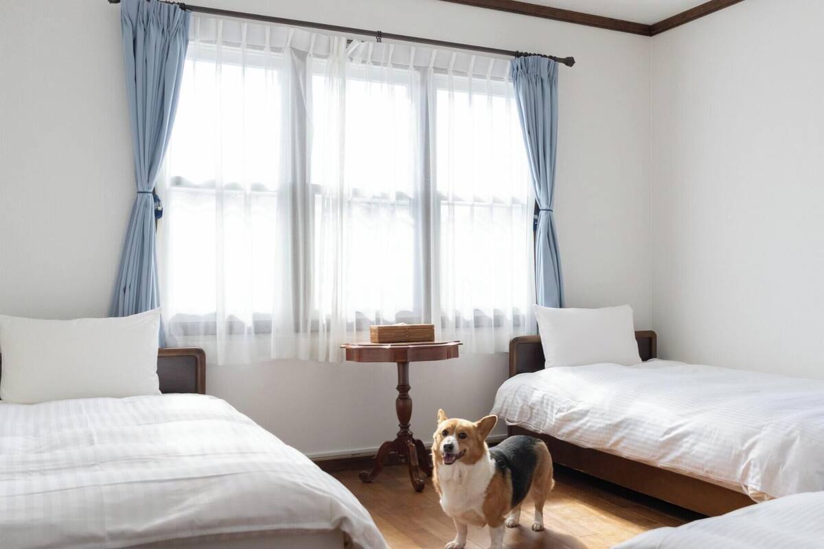 Down comforters, iron/ironing board (on request), WiFi (free)