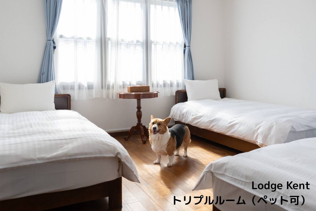 Deluxe Triple Room, Shared Bathroom | Down comforters, iron/ironing board (on request), WiFi (free)