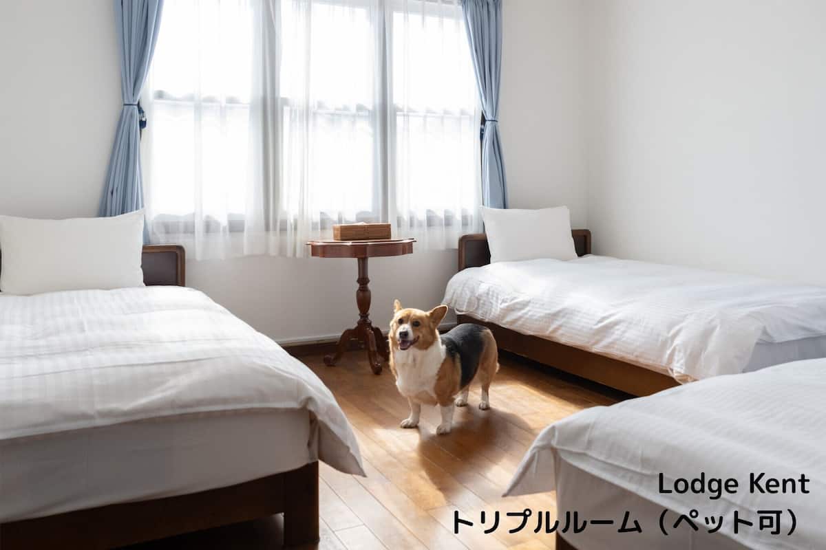 豪華三人房, 共用浴室 | 1 間臥室、羽絨被、熨斗/熨衣板、免費無線上網