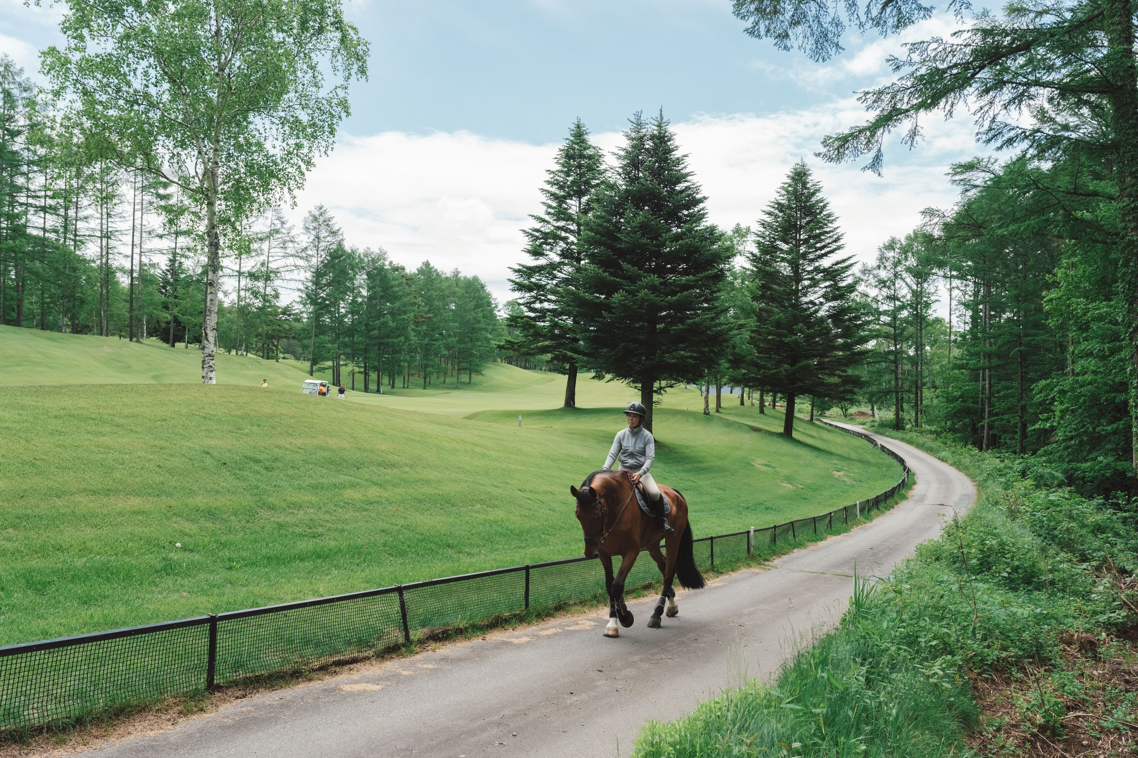 Een persoon rijdt op een paard op een weg, omringd door bomen.
