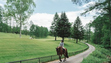 Een persoon rijdt op een paard op een weg, omringd door bomen.
