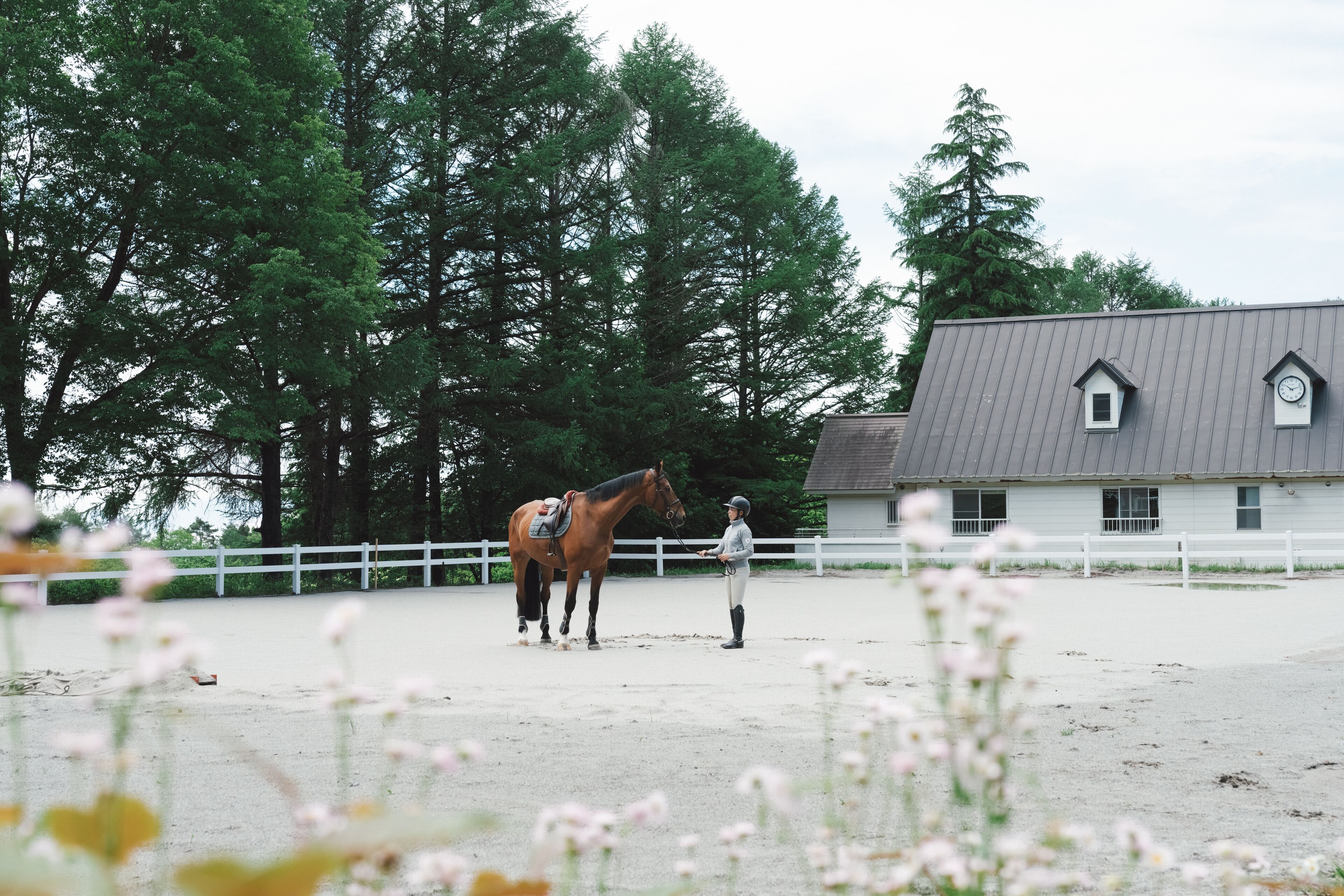 A stable with a horse and rider, surrounded by a white fence and tall trees.