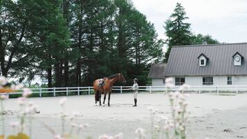 A stable with a horse and rider, surrounded by a white fence and tall trees.