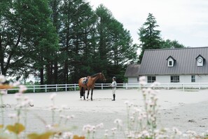 A stable with a horse and rider, surrounded by a white fence and tall trees. - Lodge Kent (Hokuto)
