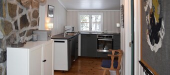 3 bedroom stunning home in Eggedal