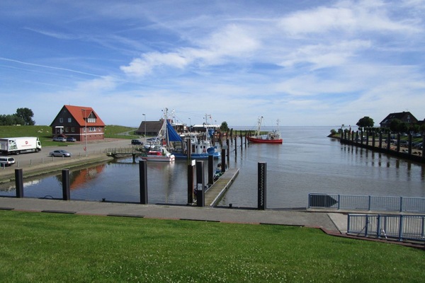 Krabbenkutterhafen Burhave-Fedderwardersiel
