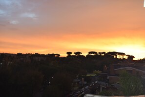 Miscellaneous - Le Petite Resort CIN IT058091C1T36QM47S Apartment lovely Talenti neighborhood (Roma)