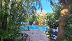 A brick pathway leading to a pool surrounded by lush greenery and palm trees. - On The Beach (Durban North)
