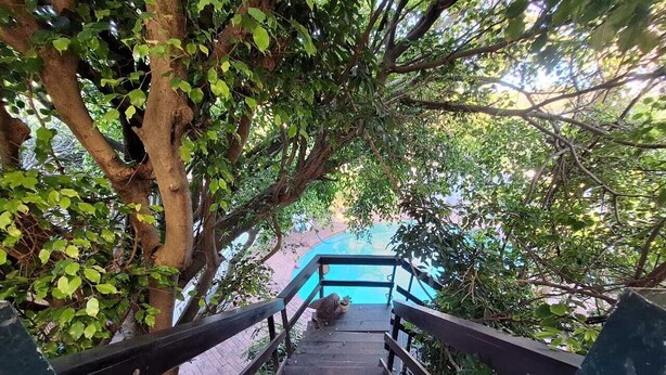 A wooden staircase surrounded by lush greenery, leading to a pool area. - On The Beach (Durban North)