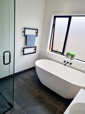 Shower, hair dryer, towels, soap