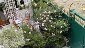 A courtyard with a green metal fence, a small table with a chair, and flowering plants. - CamParis - B&B - Chambre d'hôtes (Paris)