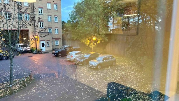 Een parkeerplaats met verschillende auto's, een gebouw met veel ramen en een boom met gele bladeren.