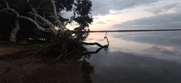 A calm lake with a tree branch extending over the water. - Brian's River escape (Augusta)