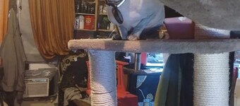 GREAT BACK YARD: 1 Bathroom 2Bedroom 5 Beds Two Level Summer Condo 