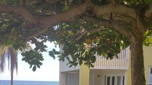 A building with a balcony overlooking a body of water, a grassy area with scattered leaves, and a tree in the foreground. - Seapalms  (Tower Isle)