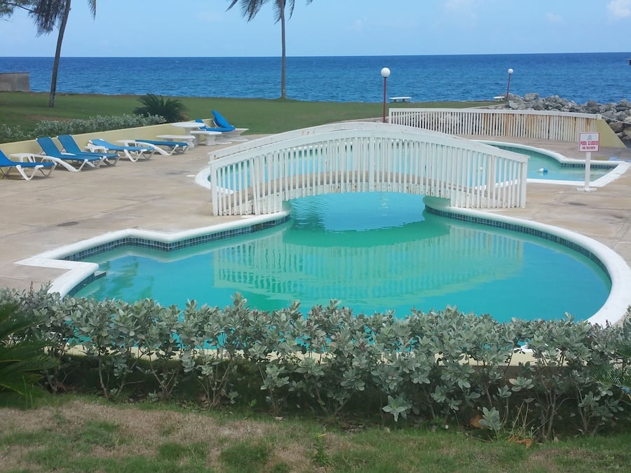 Un área de piscina con borde curvo, sillas de descanso y palmeras.