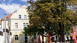 A building with a yellow facade, outdoor seating with red umbrellas, and a large tree in front. - Bischofshof Braustuben (Regensburg)