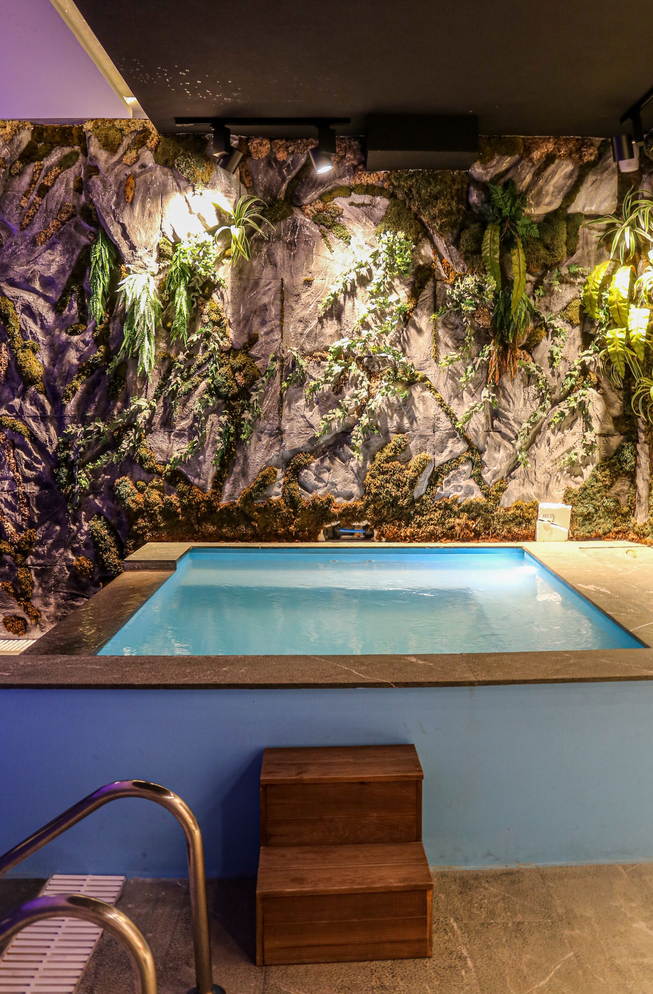 Un espace piscine agrémenté d’un mur d’escalade et de plantes, d’un banc en bois et d’une échelle en métal.