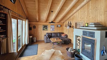Smart TV, fireplace, books